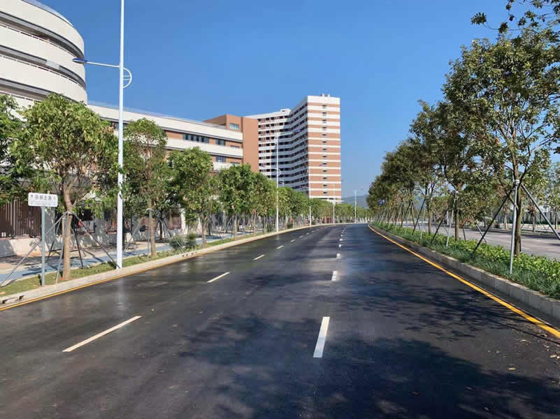 ƺɽ�^(q��)��������·����